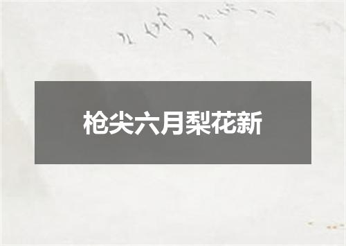 枪尖六月梨花新