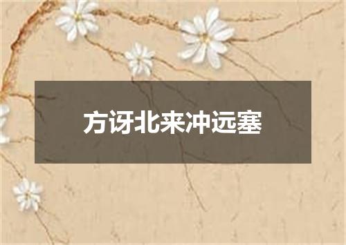 方讶北来冲远塞