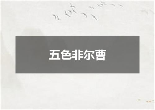 五色非尔曹