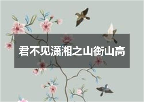 君不见潇湘之山衡山高