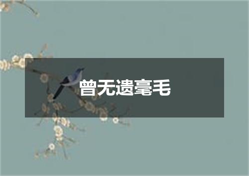 曾无遗毫毛