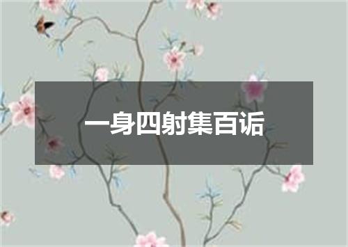 一身四射集百诟