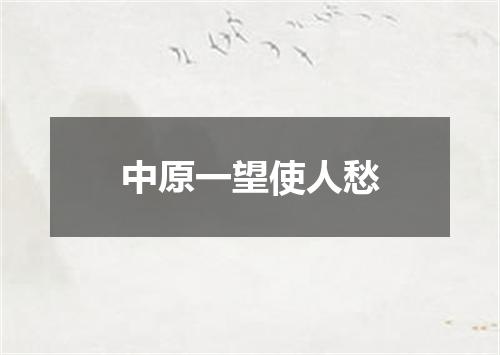 中原一望使人愁