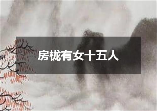 房栊有女十五人