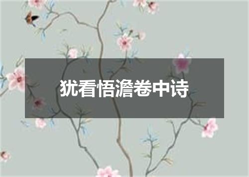 犹看悟澹卷中诗