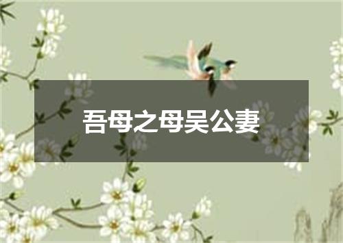 吾母之母吴公妻