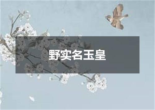 野实名玉皇