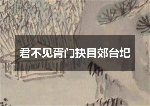 君不见胥门抉目郊台圯
