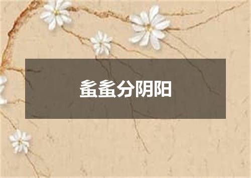 蚃蚃分阴阳