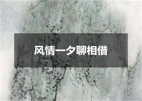 风情一夕聊相借