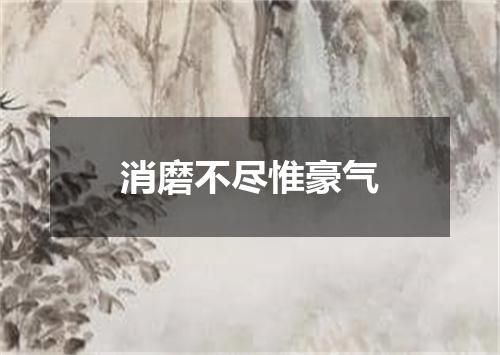 消磨不尽惟豪气