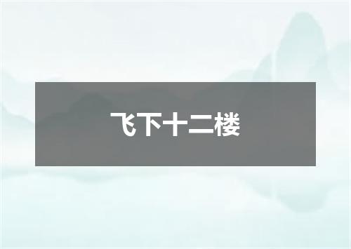 飞下十二楼