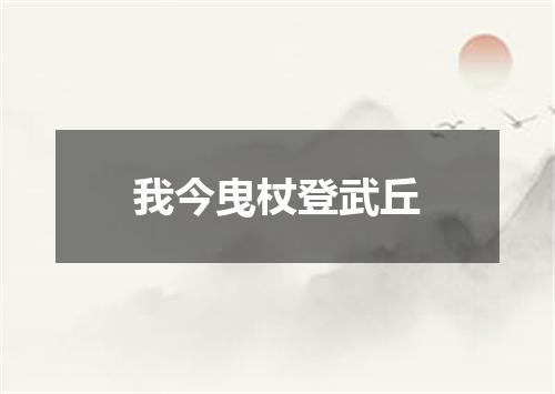 我今曳杖登武丘