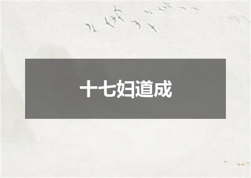 十七妇道成