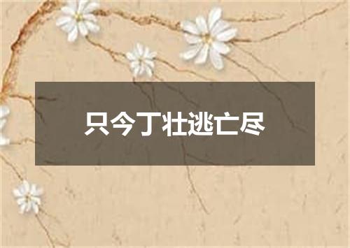 只今丁壮逃亡尽