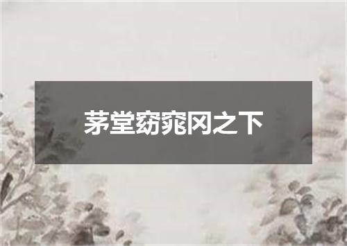 茅堂窈窕冈之下