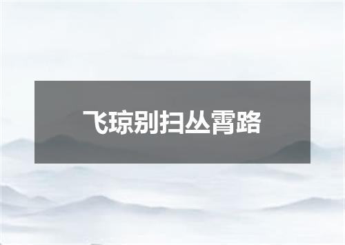 飞琼别扫丛霄路