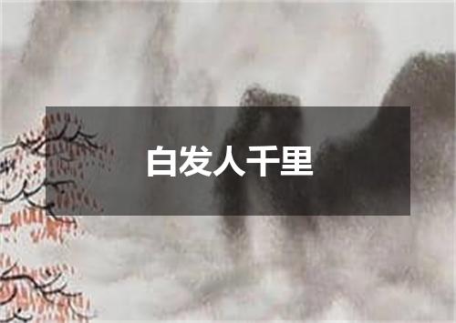 白发人千里