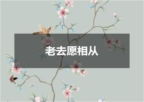 老去愿相从