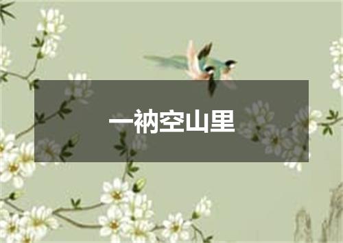 一衲空山里