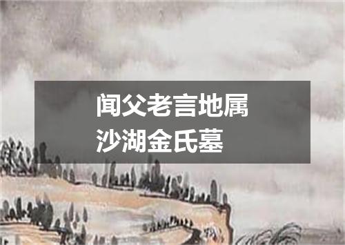 闻父老言地属沙湖金氏墓
