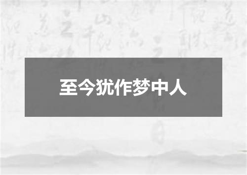 至今犹作梦中人