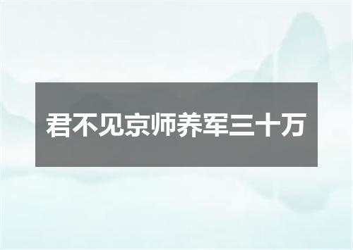 君不见京师养军三十万