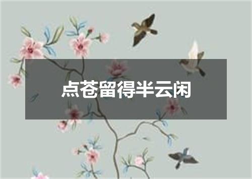 点苍留得半云闲
