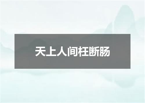 天上人间枉断肠