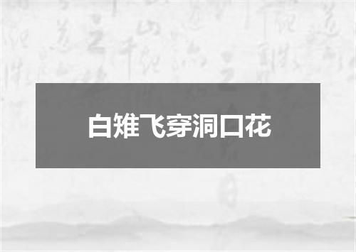白雉飞穿洞口花