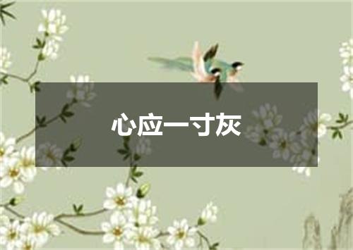 心应一寸灰