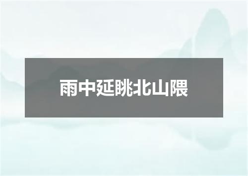 雨中延眺北山隈