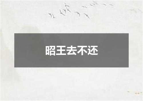 昭王去不还
