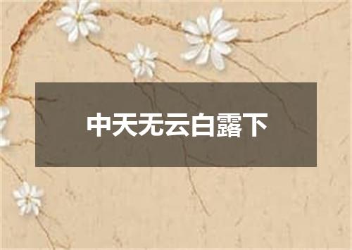 中天无云白露下