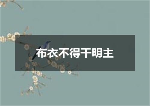 布衣不得干明主
