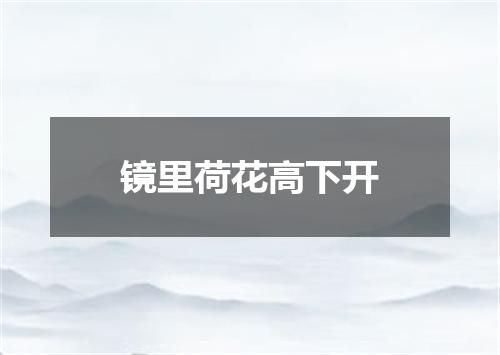 镜里荷花高下开