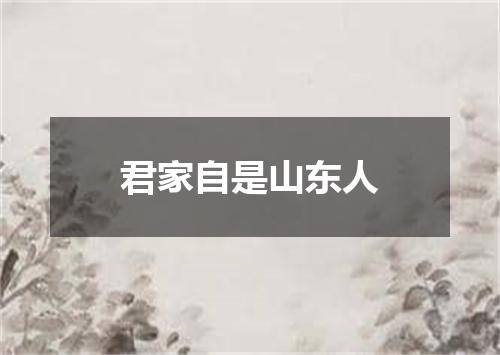 君家自是山东人