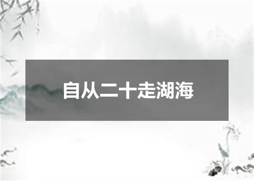 自从二十走湖海