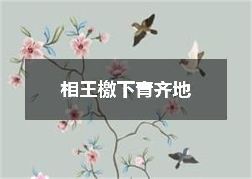 相王檄下青齐地