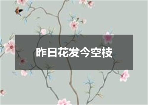 昨日花发今空枝
