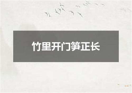竹里开门笋正长