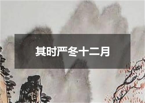 其时严冬十二月
