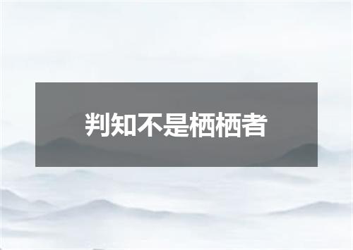 判知不是栖栖者