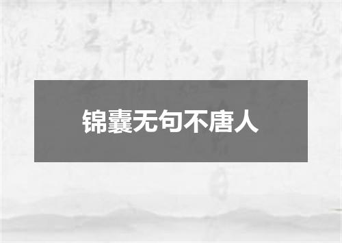 锦囊无句不唐人