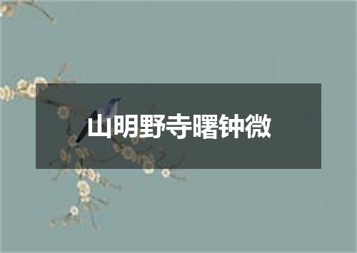 山明野寺曙钟微