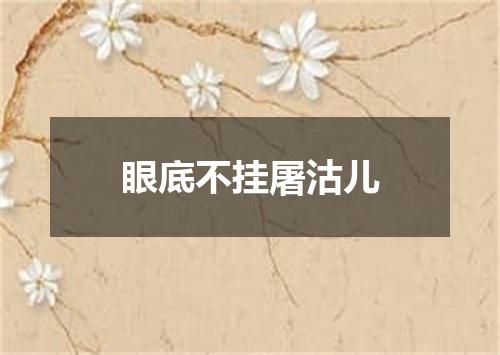 眼底不挂屠沽儿