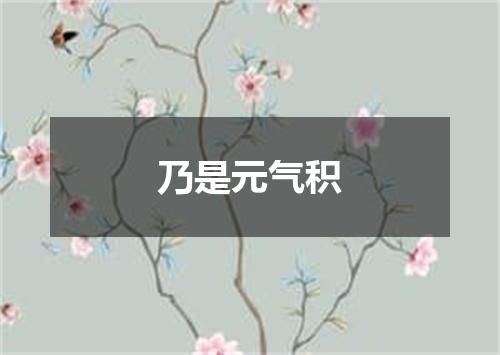 乃是元气积