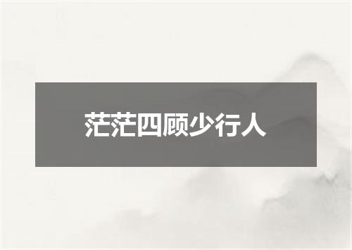 茫茫四顾少行人