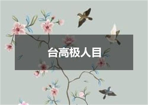 台高极人目