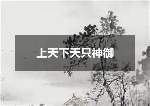 上天下天只神御